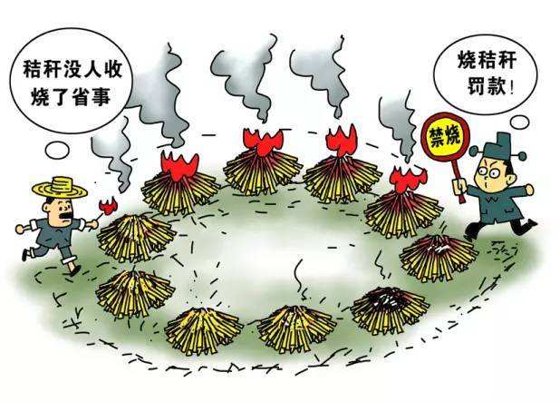 生物质颗粒唬；