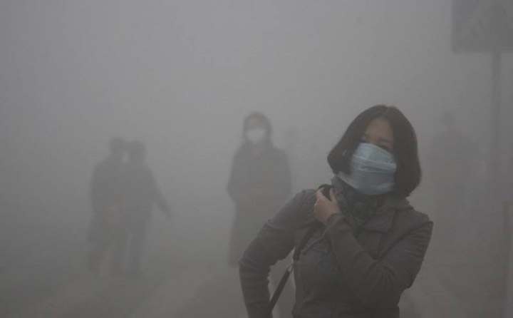 生物质颗；；；；；；