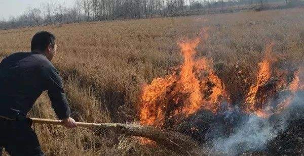 生物质颗；；；