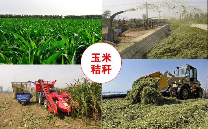 生物质颗；；；；