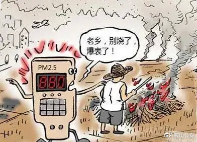 生物质颗；；；