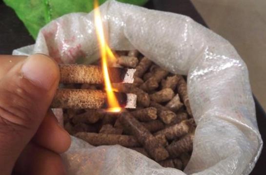 生物质颗；；；；目帕Ｈ剂