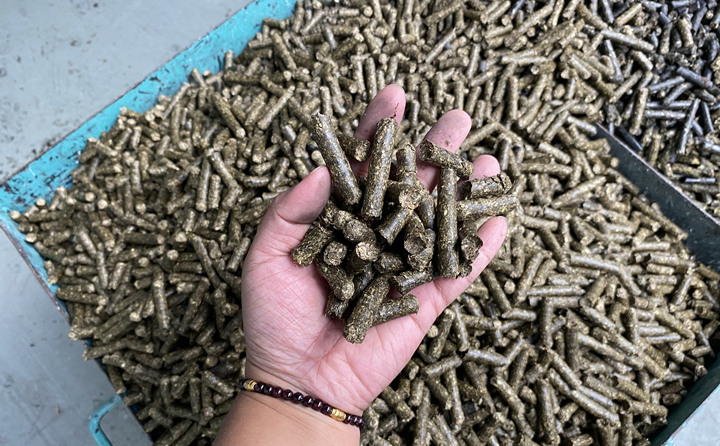 生物质颗；；庸さ目帕Ｈ剂