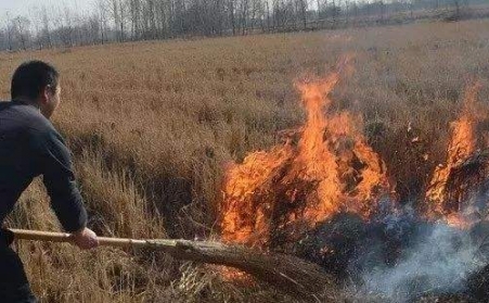 小小秸秆危害大 ，，，，，综合使用废变宝！