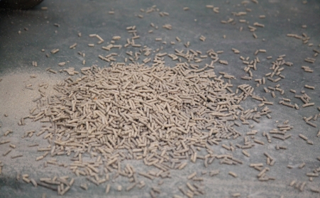 在日照生物质颗粒；；；目帕Ｔ趺瓷模浚？？？？