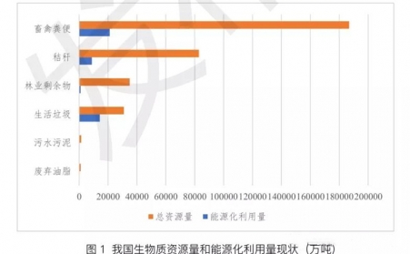 碳中和浪潮，，，，，，生物质能将迎来大生长