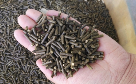 生物质燃料颗粒唬机加工颗粒燃料对我国生长有重大意义