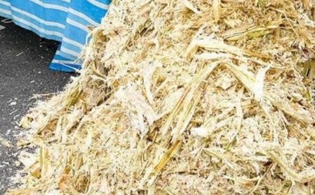 甘蔗渣想废物使用？？？？？？可以思量生物质颗；；；