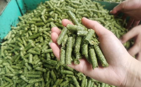 河南支持生物质能等可再生能源替换，，，，，助力实现碳达峰碳中和目的