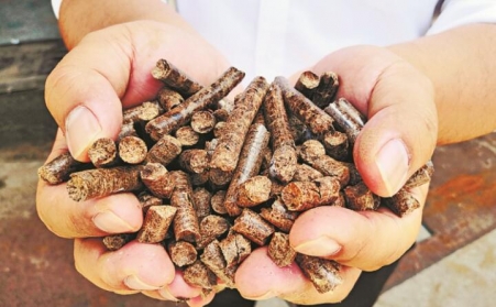 生物质颗；；；；；庸さ幕繁Ｄ拘伎帕Ｈ剂夏抢锫？？？？？购置应该注重哪些问题？？？？？